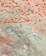 Core Flesh Detail